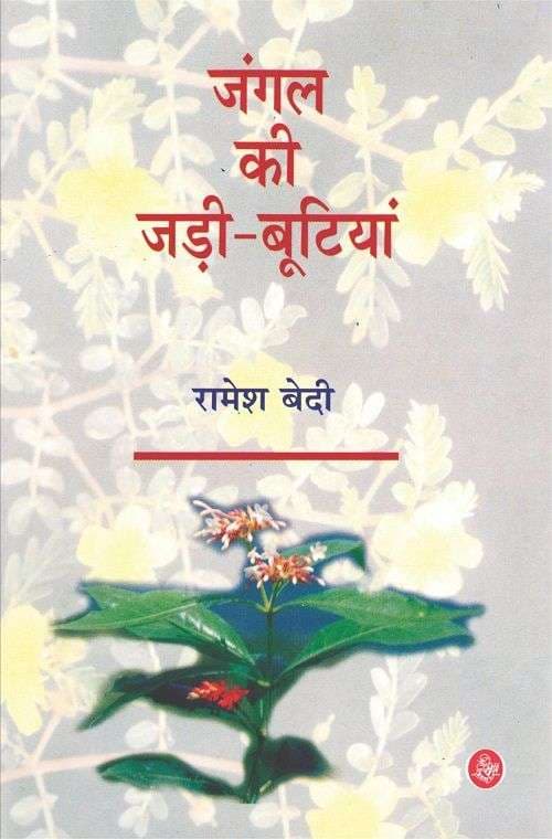Jangal Ki Jadi-Butiyan