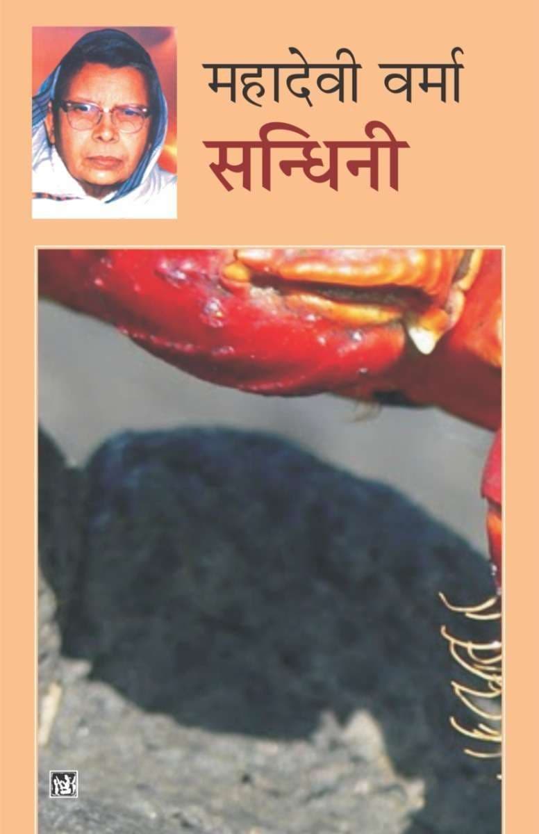 Sandhini